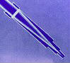 coupe_lun astro.jpg (7490 octets)